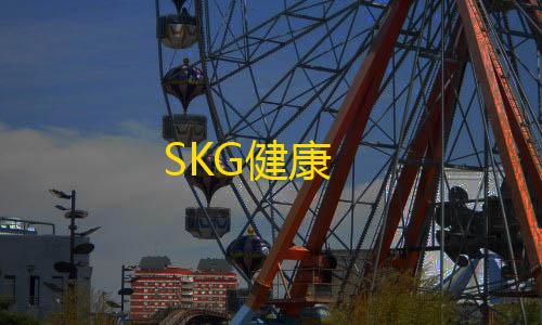SKG健康暗区突围辅助发卡网