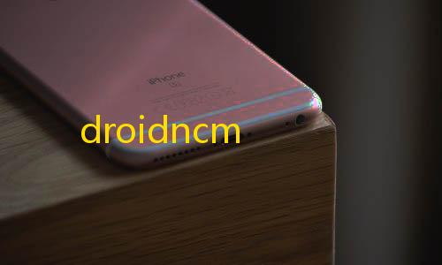 ray暗区突围直装droidncm